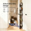 Bathroom Shelves