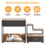 Lit superposé à 2 niveaux avec rangement pour chat noir de 47,2 x 19,7 x 25,6 po Black