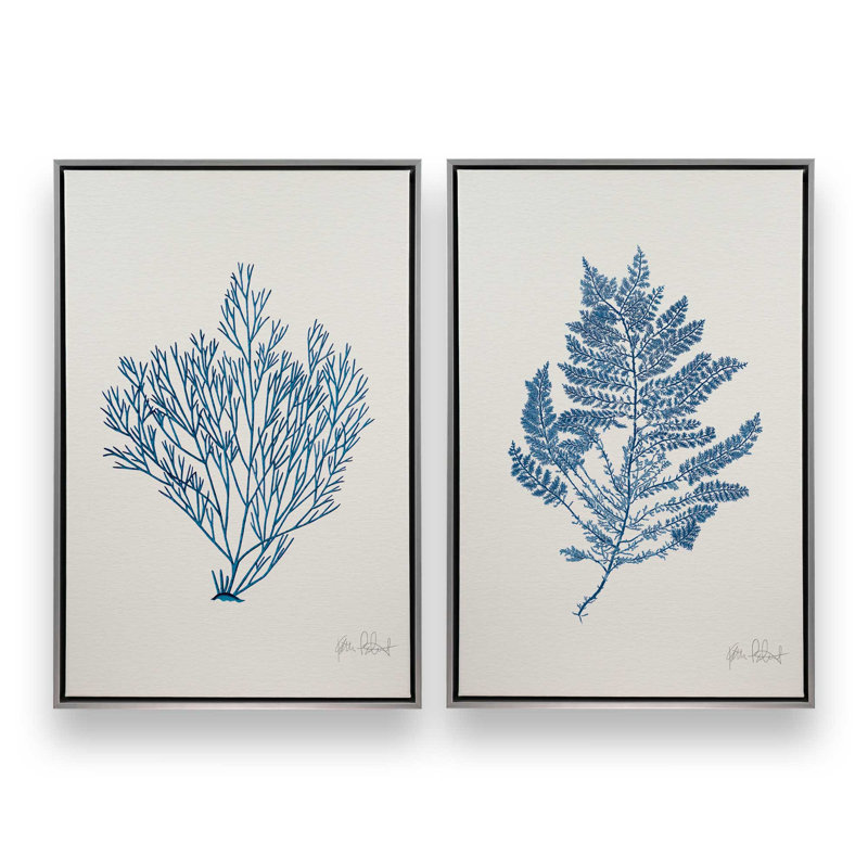 «Nature's Blueprints», ensemble de 2, reproduction sur toile, Cadre flottant en chrome poli, H 18,75 po x l 12,75 po