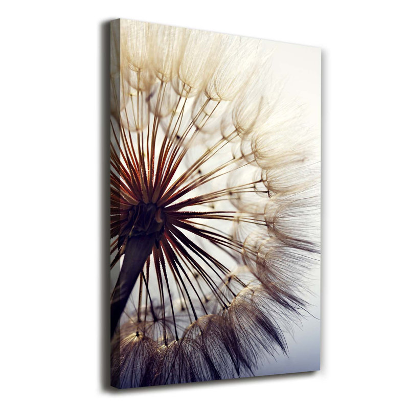 Dandelion - Wrapped Canvas Print
