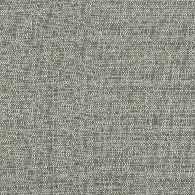 Performance Crypton Home Fabric