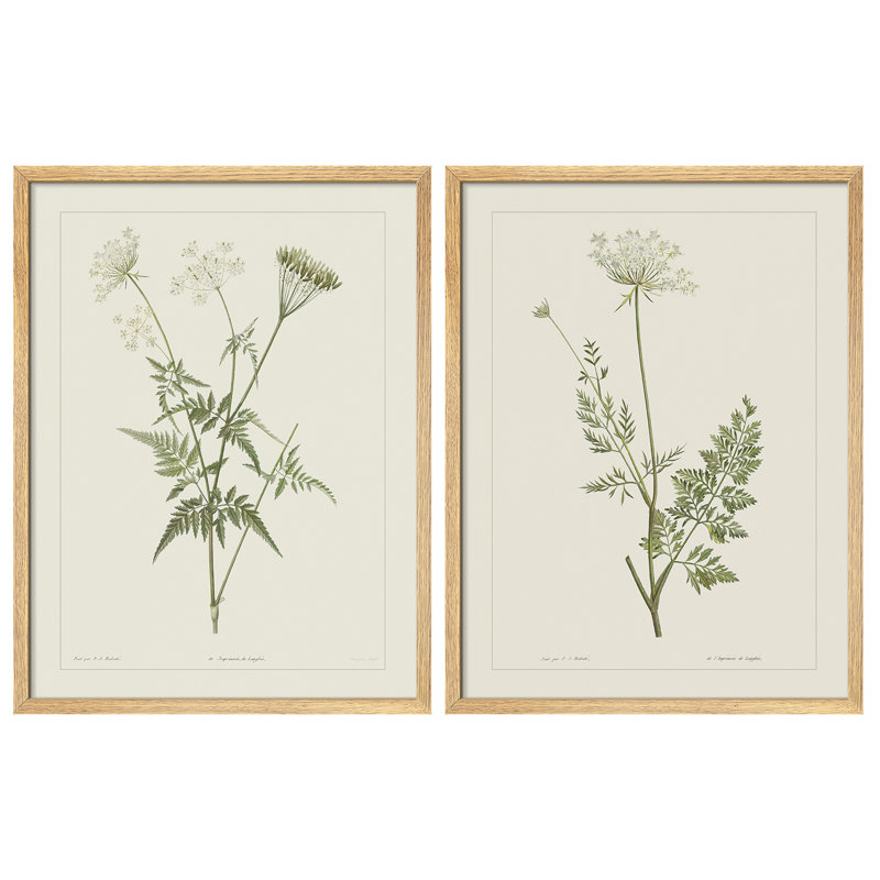 «Vintage Botanical Herb Study», ensemble de 2 reproductions d'art mural encadrées - Illustration de plante verte minimale pour la salle à manger de la cuisine