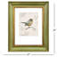 Oiseau, scène encadrée