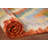 Multolor Wool Kilim Oriental Accent Rug 3x4