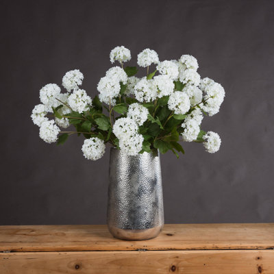 Viburnum Opulus Arrangement