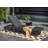 Cosmopolitan Lounger