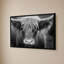 «Cow Nose BW» par Nathan Larson - Impression sur toile-1209663350-1209663345