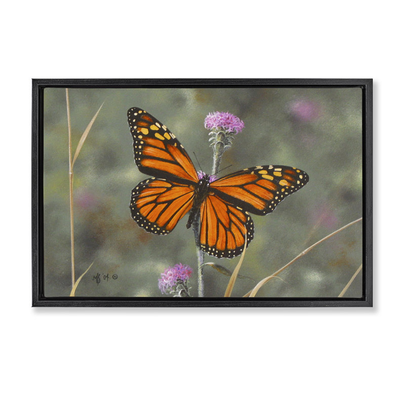 Toile flottante "Summer Summer Butterfly" par Mark Kelso, Cadre flottant noir de jais, H 17 po x l 25 po