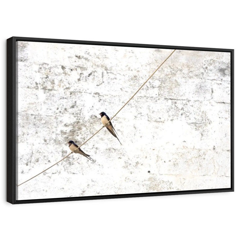 Swallow Songbirds, 46 po x 31 po, Cadre flottant noir