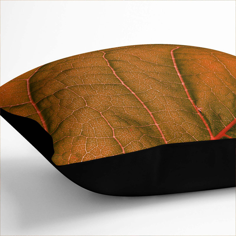 Square Throw Cushion, Black, 55cm H x 55cm W x 20cm D