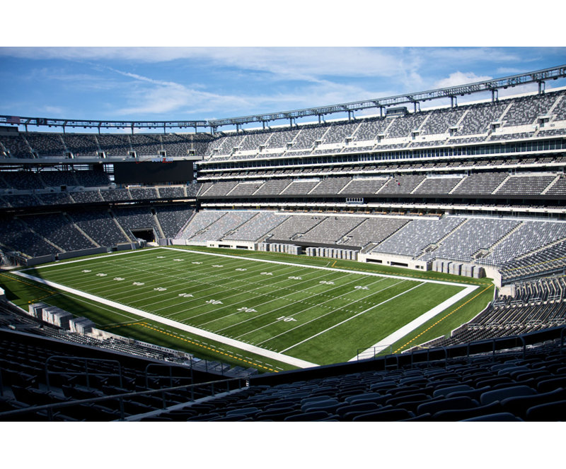 MetLife Stadium, 16" H x 24" W