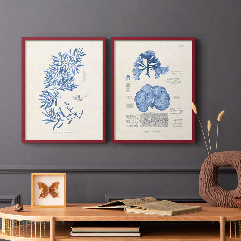 Blue Marine Algae III - reproduction encadrée de qualité supérieure - prête à être accrochée - aucun clou requis - aucun clou requis