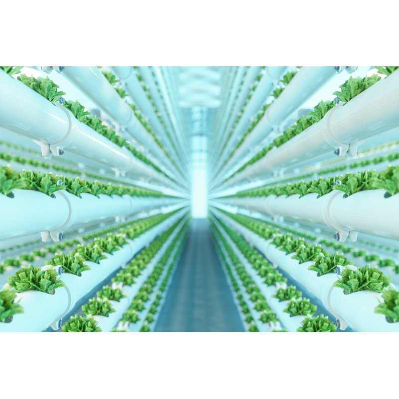 Hydroponic Plant System by Onurdongel - Wrapped Canvas Print, 81cm H x 122cm W