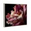 Velvet Labellum Print by Oliver Gal-819406403-819406413