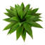 Plante grasse artificielle 30 po en pot