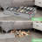 20 Pair Shoe Storage Box