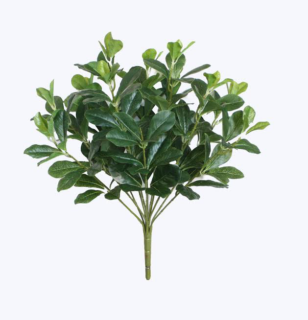 Buisson décoratif 18 po vert deux tons Polyscias