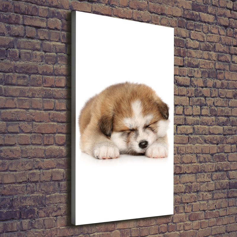 Small Cats - Wrapped Canvas Print