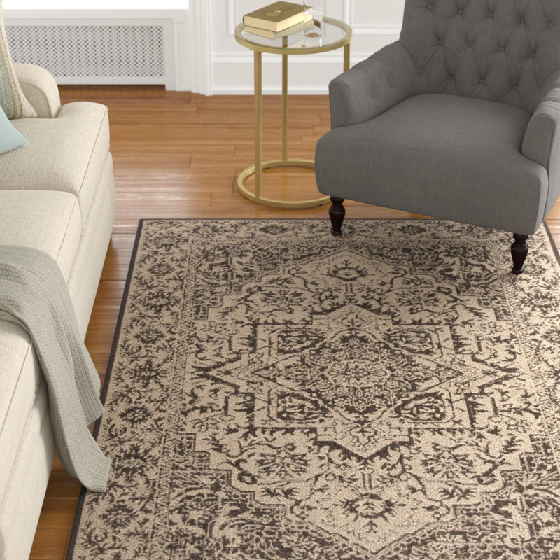 Donivin Performance Oriental Indoor/Outdoor Area Rug