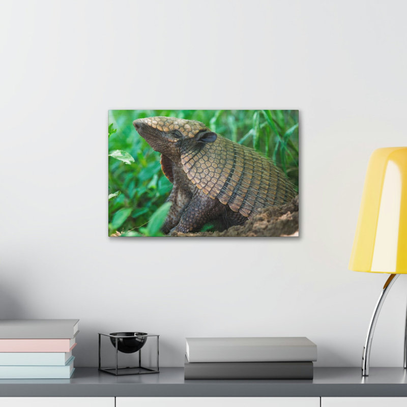 No Frame Print on Canvas