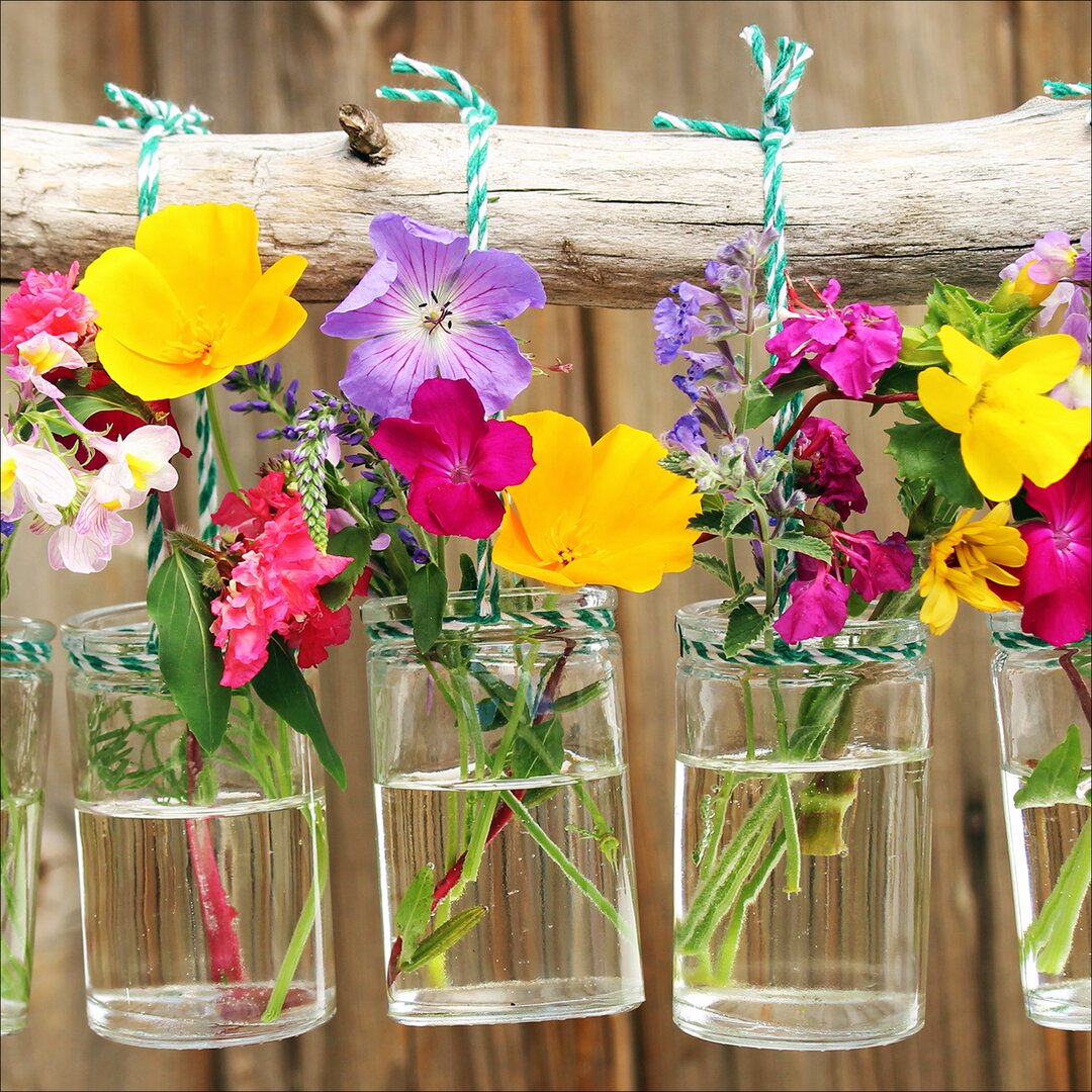 Leinwandbild Plants In Vases