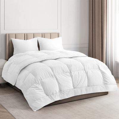 Goose Down Alternative Comforter – All Season, Warm & Lightweight, Ultra Soft Fluffy Duvet Insert