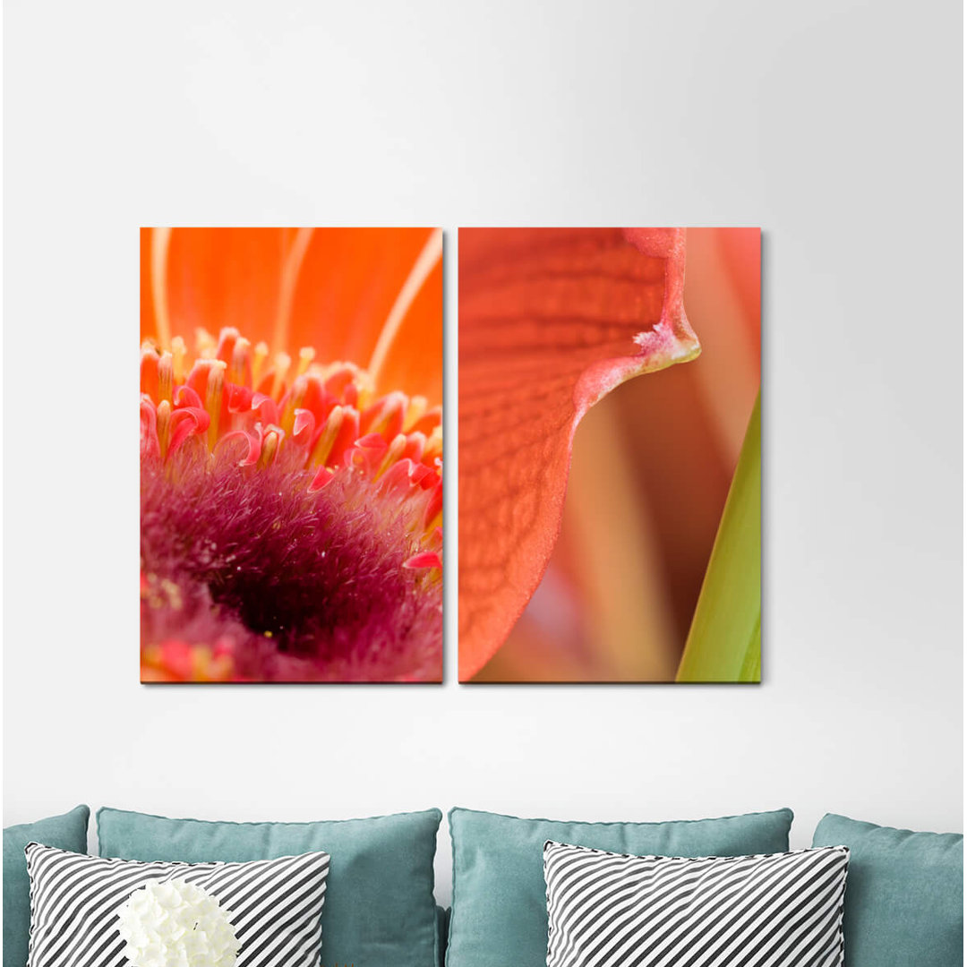 2-tlg. Leinwandbilder-Set - Grafikdruck „Flowers Blossoms Red Warmth Soft”