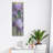 " Iris Ii " by Jan McLaughlin-89908025