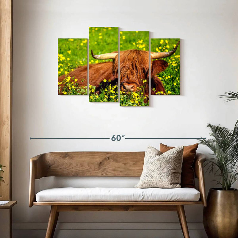 Vache Highland Brampt