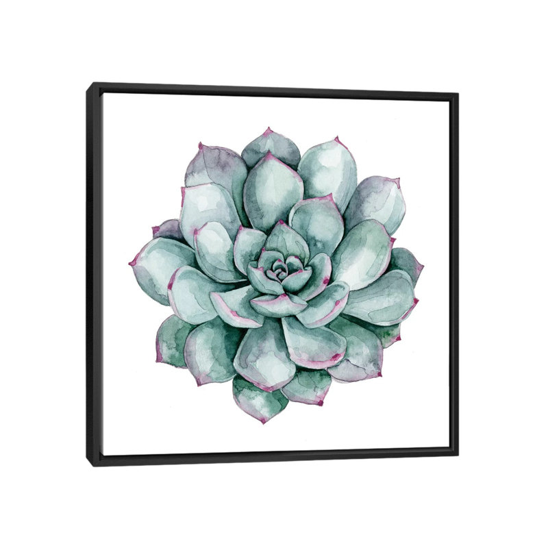 « succulent nuancier ii », impression sur toile, H 18 po x l 18 po x P 1,5 po, Toile avec cadre noir, Pas de tapis