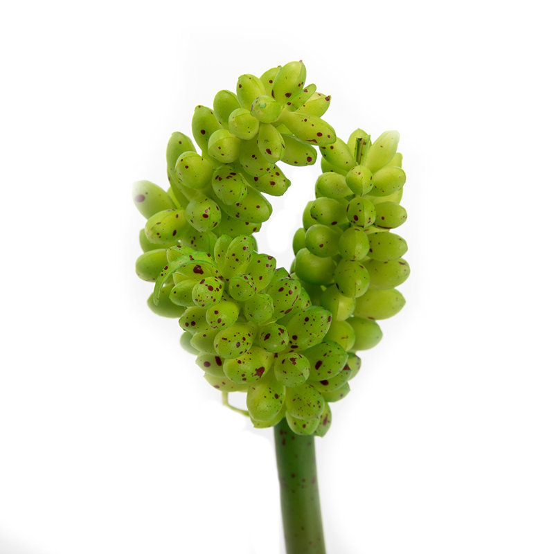 Plantes artificielles