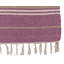 Trask Oriental 57cm X 140cm Area Rug