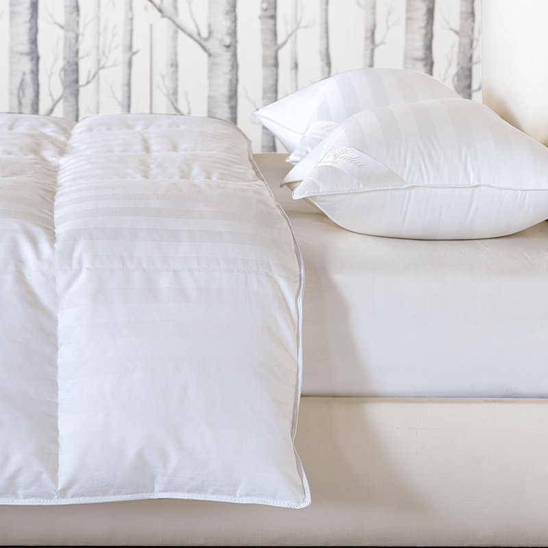 Oreiller en duvet Rhapsody Luxe, Grand