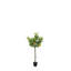 Faux Lemon Tree in Planter
