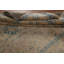 Tapis floral 7 x 11