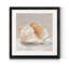 Impressionist Shell Study IV - Cadre photo, reproduction d'art sur papier-2121344479-2121344471