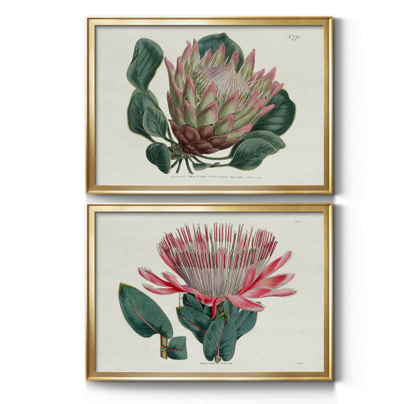 Protea N70 - Ensemble de 2 peintures encadrées, Or, H 42,5 po x l 61 po x P 1 po