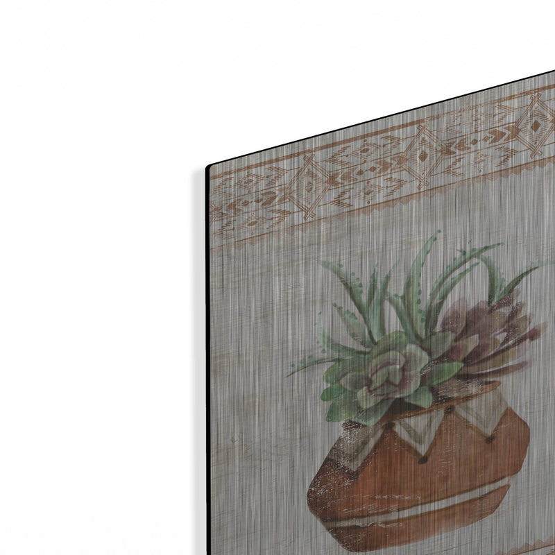 «Southwest Terracotta Succulents II» par Cindy Jacobs, H 16 po x l 12 po