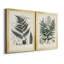 «Ferns VI», reproduction encadrée de qualité supérieure, prête à être accrochée-632926745-632926746