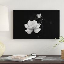 Black Rose Canvas 20 x 16 (Framed) ❤ liked on Polyvore featuring home,  home decor, wall art, bac…