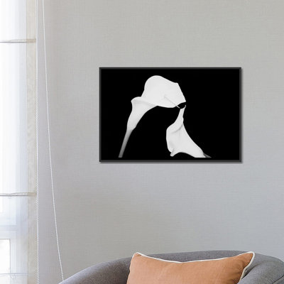 «Still Life Shot of Pierced Calla Lily Flower II», reproduction d'impression sur toile