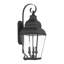 Lanterne murale d'extérieur H 28 po à 3 ampoules Anousha-544935577