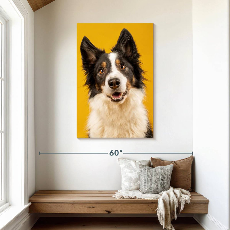 Brampt Adorable Border Collie, 45" H x 30" W