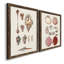 Toile encadrée Shell Collection VP Remium - prête à être accrochée-558366128-558366134-558123118