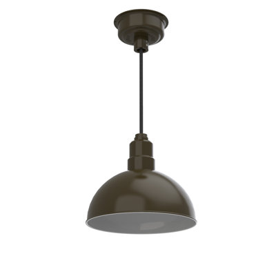 Luminaire suspendu en forme de dôme à 1 lumière DEL Ludwicka