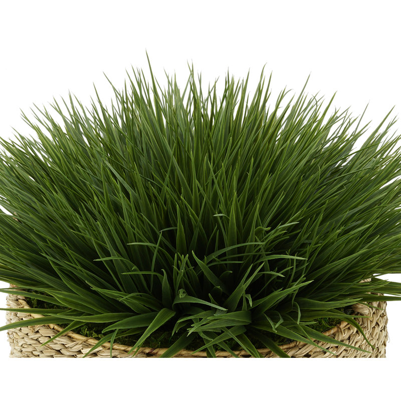 Gazon artificiel 8 po dans un panier, Vert, Naturel, H 12 po x l 18 po x P 18 po