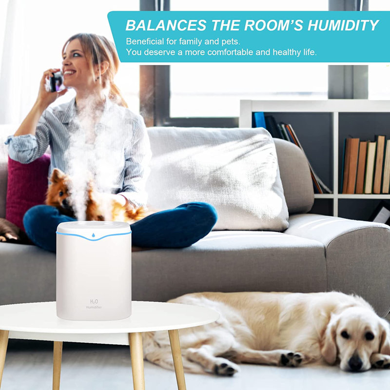 Humidificateur USB personnel pour bureau, mini humidificateur portatif à brume froide couleur 350 ML avec veilleuse