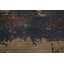 Tapis indien en laine Handmande