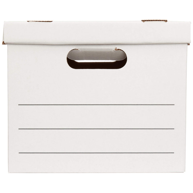Basic Storage File Boxes With Lid And Handle, Legal/Letter Size, Basic, 20-Pack, White, 16.2"L X 12.5"W X 10.5"H