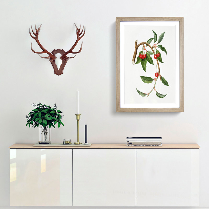 Sour Cherries by Giorgio Gallesio - Picture Frame Painting Print, Oak Framed, 48cm H x 36cm W x 2cm D